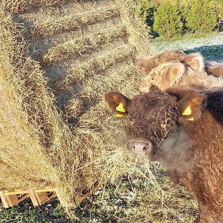 Ferienwohnung Auf Dem Land Dittersbach Exteriér fotografie